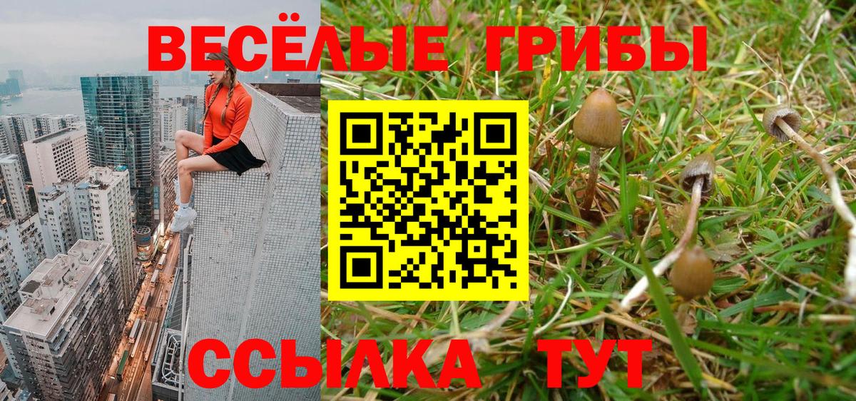Галлюциногенные грибы мухоморы  Вход с VPN  Псилоцибиновые грибы Psilocybe  Благовещенск 